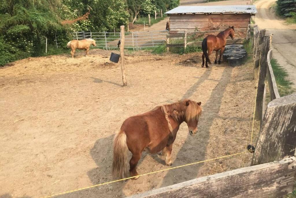 Ferienwohnung In Peetzig Am See Angermunde Exterior foto