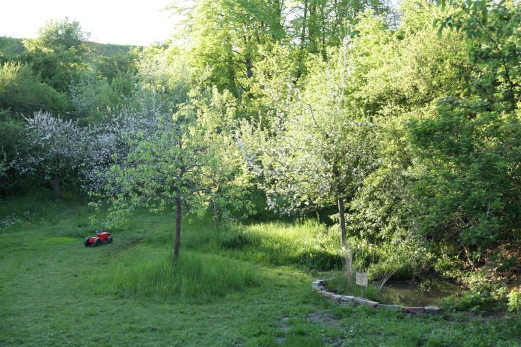 Ferienwohnung In Peetzig Am See Angermunde Exterior foto